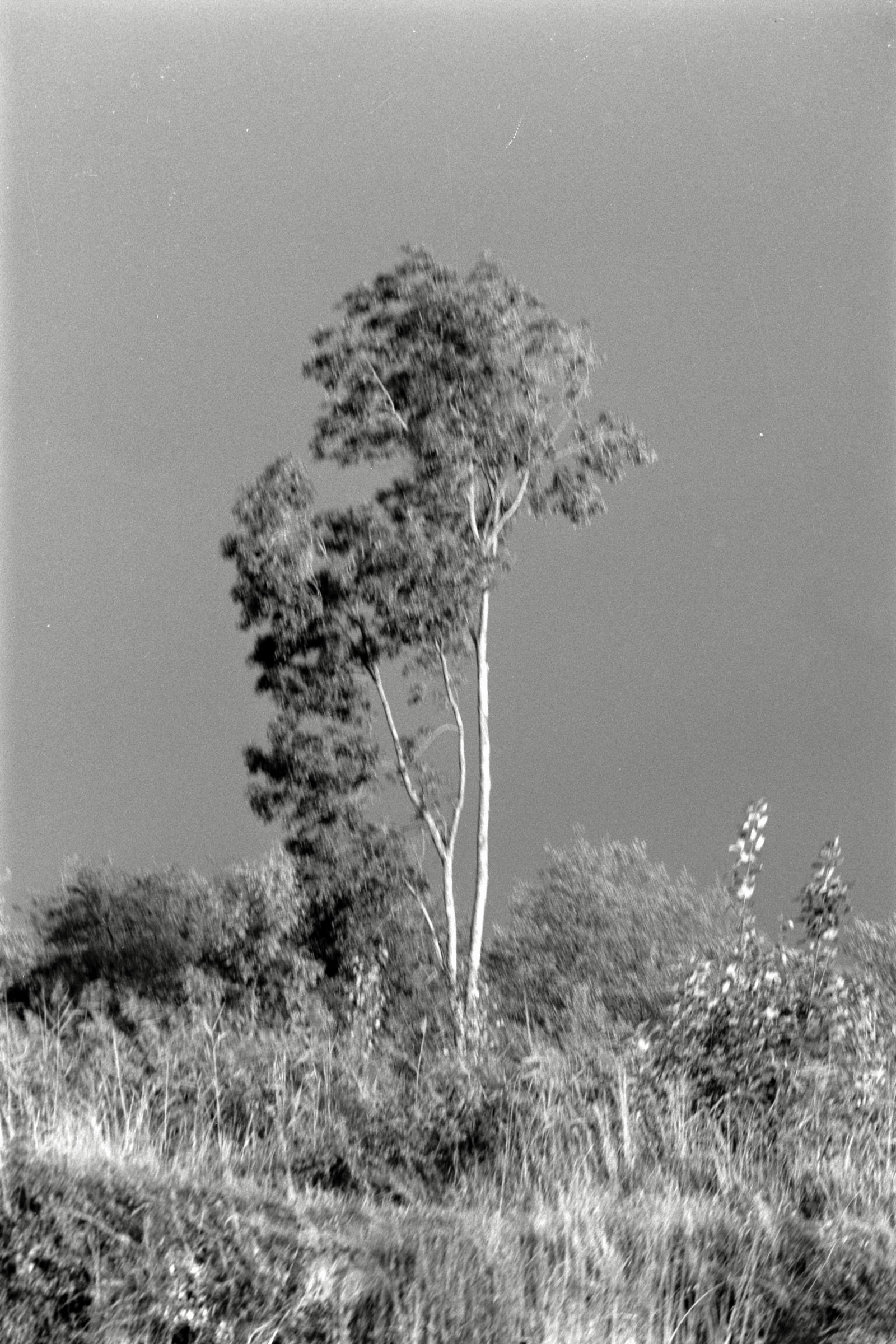 AHP F1990 09 004 sc250506 img33 NLP